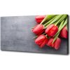 Foto obraz na plátne Červene tulipány 100x50 cm