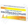 Oscillococcinum pil.dds.6 x 1 g