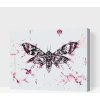 Vymalujsisam.sk Maľovanie podľa čísiel - Maľba motýľa Veľkosť: 40x50cm, Rám: Na kartónovej doske