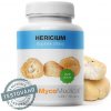 Hericium v optimálnej koncentrácii MycoMedica 90 rastlinných kapsúl