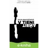 E-kniha V tieni tieňa - Silvia Macháčková