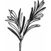 Alteya Rozmarínový olej 100% Bio 10 ml