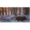 Foto obraz akrylové sklo Jeleň východ slnka 100x50 cm
