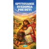 Spytovanie svedomia pre deti podľa Desatora - Kolektív