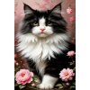 Norimpex diamantové maľovanie Čiernobiela mačka 30 x 40cm