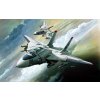 Academy - Grumman F-14 Tomcat, Model Kit letadlo 12608, 1/144