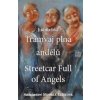 Tramvaj plná andělů/ Streetcar Full of Angels