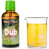 Dub púčiky 50 ml - gemmoterapie