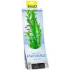 Tetra Hygrophila L 30 cm
