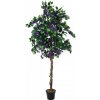 Bougainvillea fialová, 180 cm
