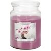 Bispol Aura Maxi Spa Garden 500 g