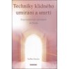 Techniky klidného umírání a smrti (Raffael Boriés)
