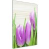 Vertikálny foto obraz fotografie na skle Fialové tulipány 50x100 cm