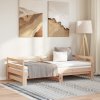 zahrada-XL Rozkladacia denná posteľ bez matraca, 80x200 cm 814694