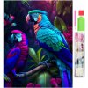 Diamantové maľovanie Papagáje 30X40cm