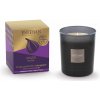 Esteban Paris Parfums CLASSIC – FIGUE VONNÁ SVIEČKA 170 g
