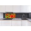 DIMEX | Dibond doska za kuchynskú linku | DBW-08040-028 Červené vlčie maky| 80 x 40 cm + Dibond obkladová doska Dimex do kuchyne Červené vlčie makyv rozmere 80 x 40 cm