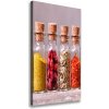 Vertikálny foto obraz na plátne Farebné korenie 50x100 cm