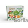 TARLTON Assortment Presentation Green Tea 60 x 2 g