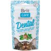 Brit Care (VAFO Praha s.r.o.) Brit Care Cat Snack Dental 50 g