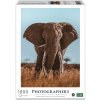 Ambassador Afrikanischer Elefant 1000 Teile (Donal Boyd)