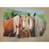 Tri hnedé kone - MVDr. Jozef Jordan L (do veľkosti 95x95cm) Viac farieb