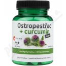 Galmed Ostropestřec+curcumin forte 60 kapsúl