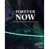 The Forever Now: Contemporary Painting in an Atemporal World (Hoptman Laura)