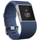 Fitbit Surge Large