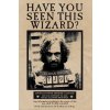 Plagát, Obraz - Harry Potter - Wanted Sirius Black, 80 × 120 cm