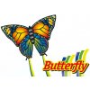 Günther BUTTERFLY 95 x 63 cm