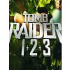 Crystal Dynamics Tomb Raider 1+2+3 (PC) Steam Key 10000008209002