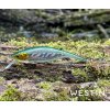 Wobler WESTIN P10SR Crankbait 10cm – Headlight