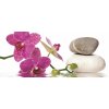 ForWall Fototapeta panoramatická vliesová Spa stones with orchid 250 x 104 cm