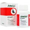 Folio Artenax 60 tbl