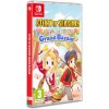 Story of Seasons Grand Bazaar