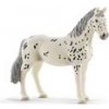 Schleich Animal Knabstrupper kobyla