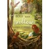 Dievča menom Willow - Bohlmannová Sabine