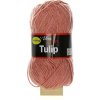 Tulip lososovorůžová 4402
