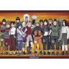 Plagát, Obraz - Naruto Shippuden - Konoha Ninjas, 91.5 × 61 cm
