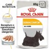 ROYAL CANIN Dermacomfort - Mokré krmivo pro psy - 12 x 85 g