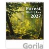 Forest (Wald / Les) 2027 - nástěnný kalendář - Helma