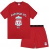 Fan-shop Pyžamo LIVERPOOL FC Short červené velikost: XL