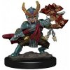 WizKids D&D Miniatures: Ikony ríš - Polovičná bojovníčka