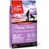 Orijen Dog Puppy Large 6kg
