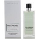 Angel Schlesser Esprit de Gingembre toaletná voda Pánska 100 ml tester