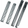 BITUBO Fork springs kit BITUBO K=0.80 (+1 Lt. Oil)