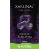 E-kniha Zaklínač VII: Pani Jazera - Andrzej Sapkowski