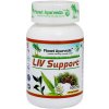 Planet Ayurveda Liv Support (Pečeň) extrakt 500 mg 60 kapsúl