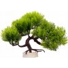 Kruger Meier Borovica Bonsai - umelá rastlina